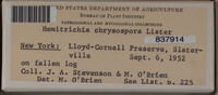 Image Associated With the Occurence